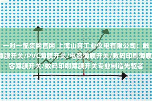 一对一配资网官网 上海山奔工业仪电有限公司：触摸薄膜开关/二维码薄膜开关/PVC薄膜开关/电容薄膜开关/数码印刷薄膜开关专业制造先驱者